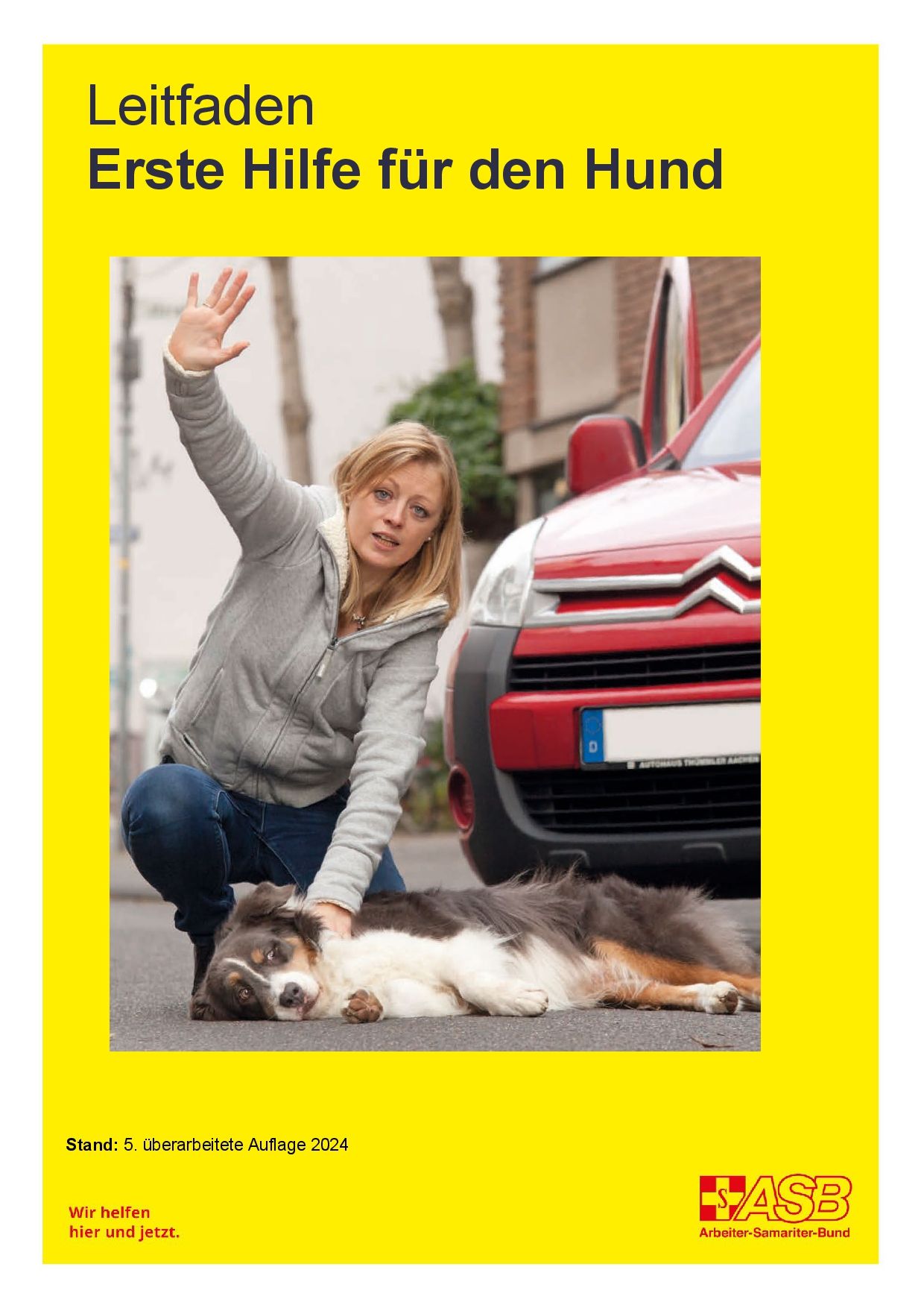 Leitfaden "Erste Hilfe für den Hund"